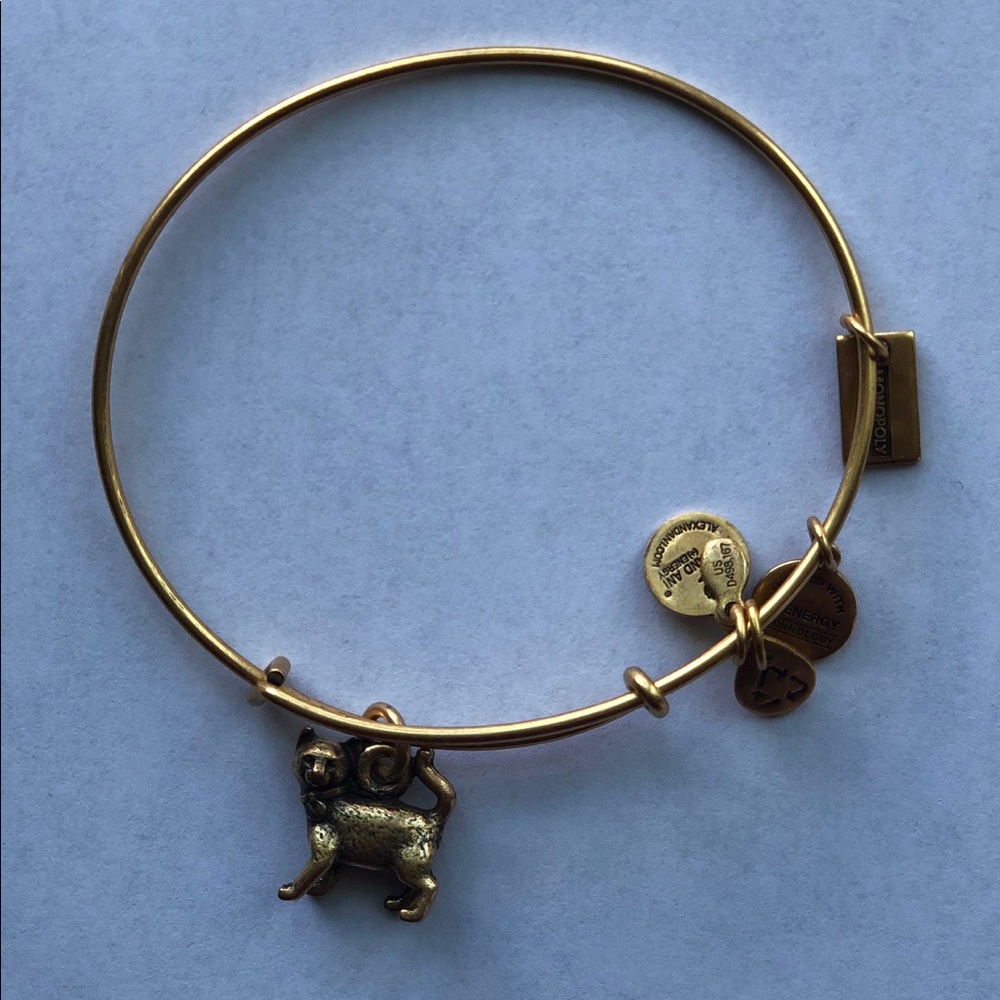 Alex and Ani Gold Bangle